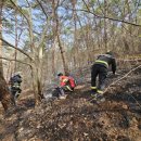 단비공원 이미지