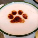 부산애견 이미지