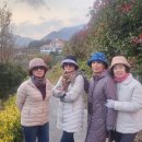 하동미라클 청소년야영장 | 하동 솔섬 미라클 해상정원에 반하다!