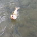 평창낚시 이미지