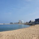 잠언라이프 Daum카페