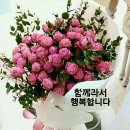 眞 實 이미지