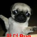 주하빌딩 | 주워 담을 수 없는 세 가지