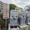 더조은 소프트 이미지