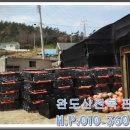 완도산전복산지직송 이미지