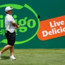 (주)투어페이스 이미지