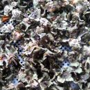 대발농장 이미지