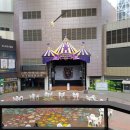 원마운트약국 이미지