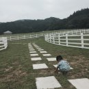 꼭지목장 이미지