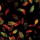 라임기획 이미지