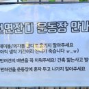 별똥구리 이미지