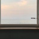 카페인디고