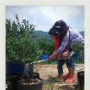 푸른산농장 이미지