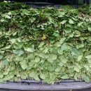 노은동경로당 이미지