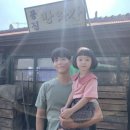 도원TR