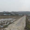 큰들길 이미지
