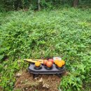 경남산소 이미지