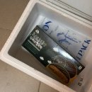 하니언니 | 여수언니 봄날엔 초코퐁당 두바이 쫀득떡 택배 후기