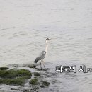 1월의 선정시_파도의 시_작사 한희란_가수 은빛_작 편곡 수노_편집 윤기영 이미지