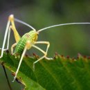 별언덕민박 이미지