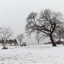 다산어린이공원 이미지