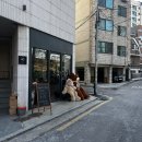 스위티베어스