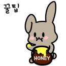 판도라테크 이미지