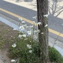 호텔 MH 사우나 이미지