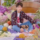 모아 dog 이미지