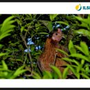 웅추농장 이미지