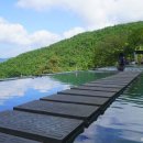 보령베스트 이미지