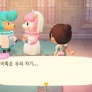 플라라 이미지