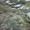 마리아케이글로벌