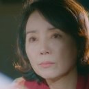 초록밤 이미지