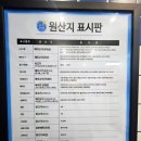 피자와썹광주 이미지