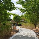 미원초등학교 이미지