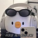 백록동물병원 | [강릉]P로시작해서 J로 끝나기(강릉여행2/2)