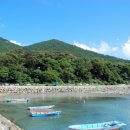 완도 맹선리 상록수림 이미지