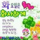 풀풀풀