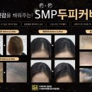 비채울