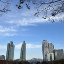 평촌공원 공중화장실 | 안양 평촌중앙공원 단풍구경 주차 수유실 운동시설 도서관 총정리