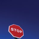 퍼피가든 이미지