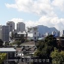 도심길49 Daum카페