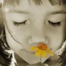 시에스타 이미지