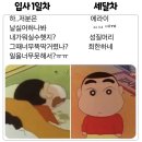 ✨🎢 에버라이프 EP.1 홀랜드는 오픈 준비 중!🎢✨