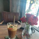 다냥 cong caffe 이미지