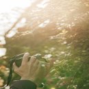 티볼리빌 이미지