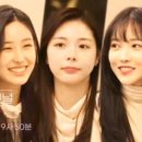 25세 동물병원 이미지