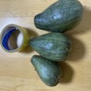 먹골 Daum카페
