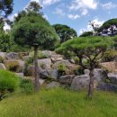 정식목장 이미지